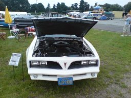 Big Bumper Meet 2007